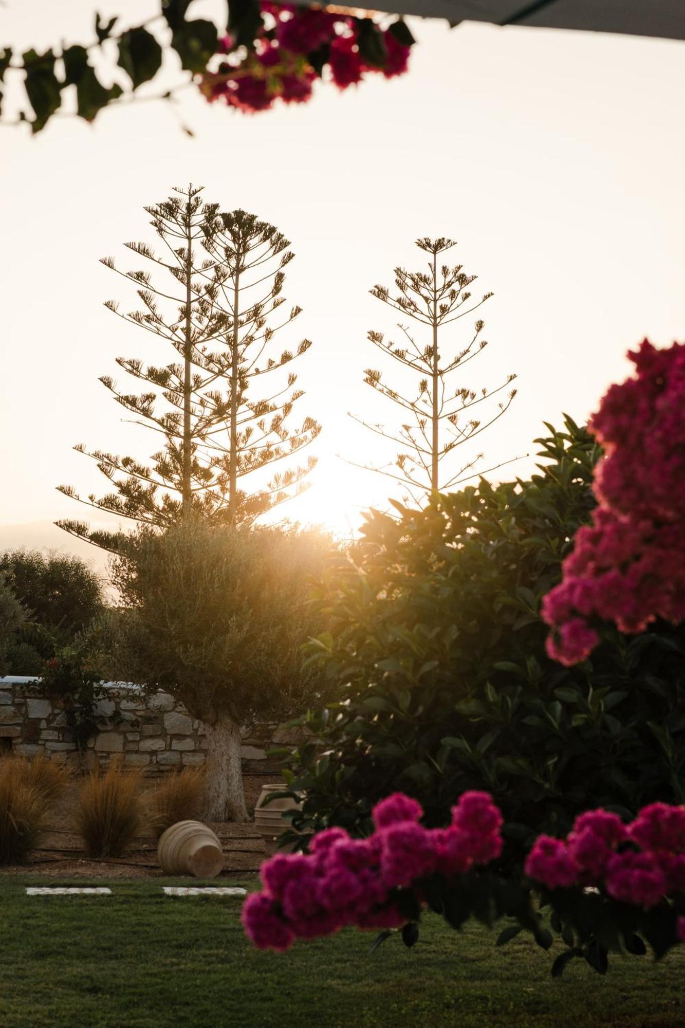 White Dunes Luxury Boutique Hotel Santa Maria  Exteriör bild